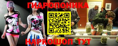 a pvp Жуковский